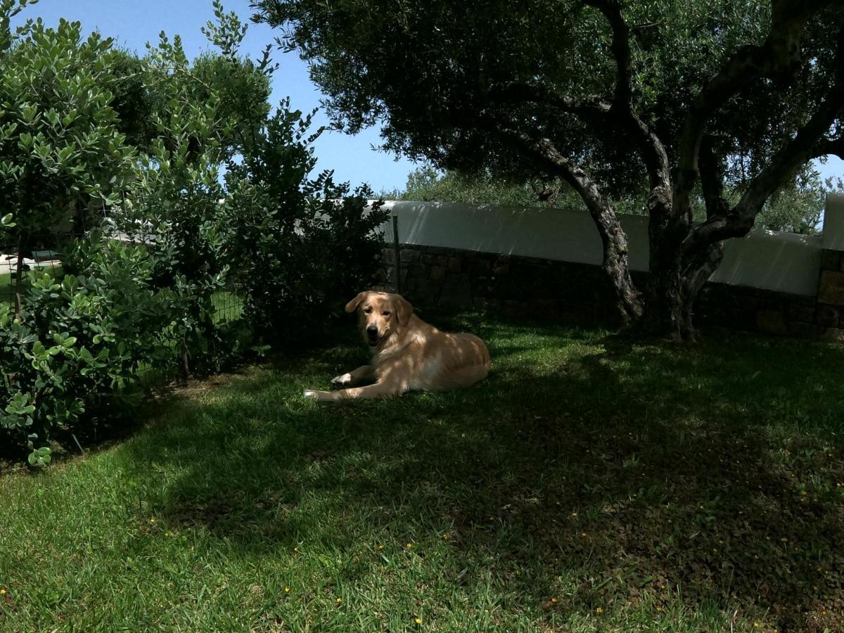 Nefeli Villas ヘルソニソス エクステリア 写真