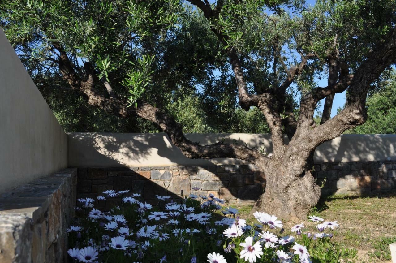 Nefeli Villas ヘルソニソス エクステリア 写真